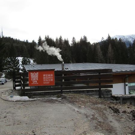 Chalet Vicino A Cortina Borca di Cadore Dış mekan fotoğraf